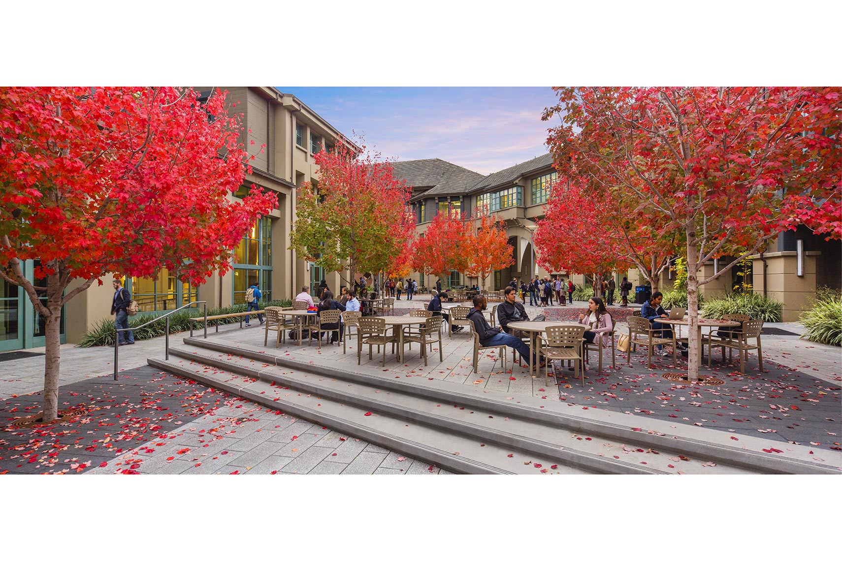 2015_Haas_Fall_Courtyard_0946_Web3